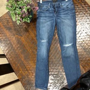 Genetic Denim Shya Skinny Jeans
